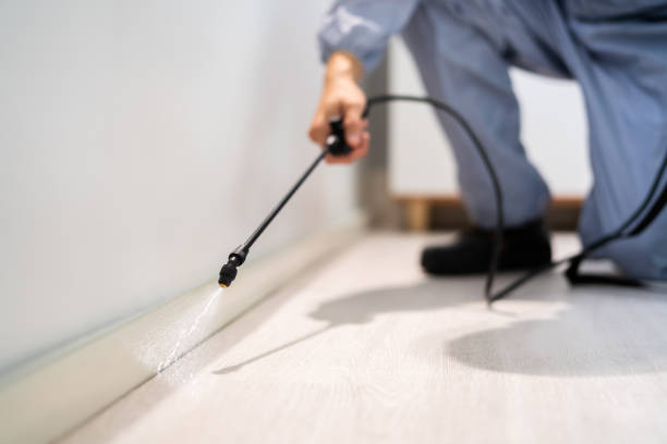 Licensed Cockroach Control service in Bond County County, IL - Nex Pest Control