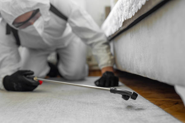 Professional Cockroach Control technician working in Bond County County, IL